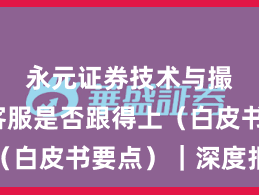 永元证券技术与撮合：客服是否跟得上（白皮书要点）｜深度报告