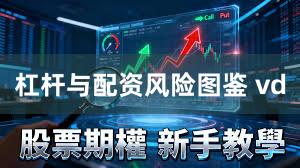 杠杆与配资风险图鉴 vd