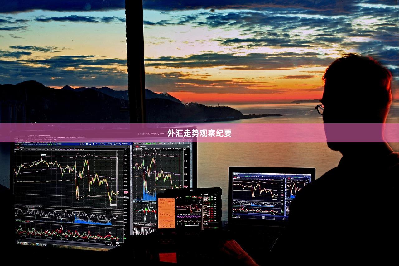 外汇走势观察纪要