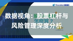 数据视角：股票杠杆与风险管理深度分析