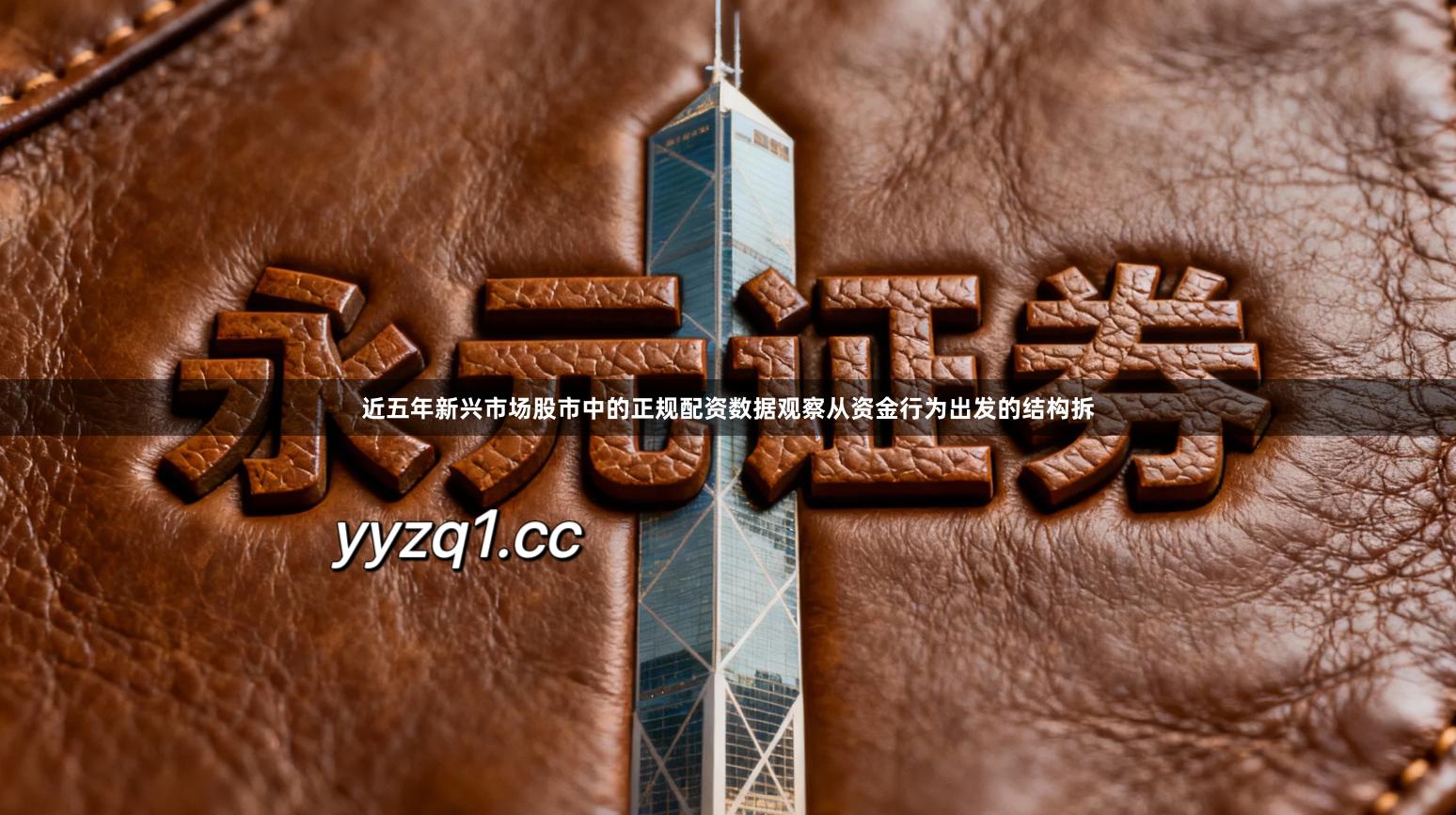 近五年新兴市场股市中的正规配资数据观察从资金行为出发的结构拆